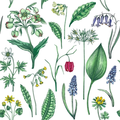 Spring flowers seamless pattern. Wildflowers background. Forest plant, greenery, wild flowers sketches. Hand drawn vector illustration. Not AI-generated